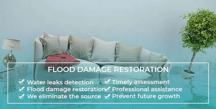 logo-image - banner-1-v2-wgr4