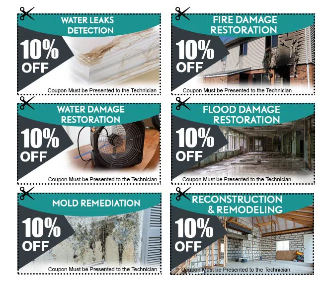 Miami Water & Mold Damage Miami, FL 786-320-7360 Miami Water & Mold Damage Miami, FL 786-320-7360 - cpn-v2-wgr-4