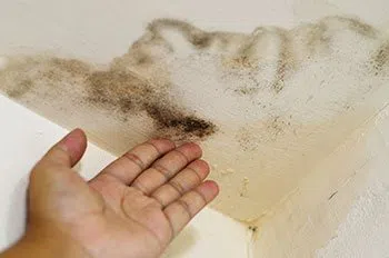Miami Water & Mold Damage Miami, FL 786-320-7360