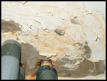 Miami Water & Mold Damage Miami, FL 786-320-7360 - serv-damage-v2-wgr-4