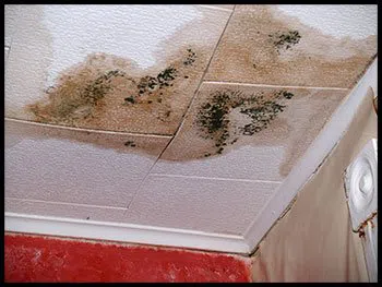 Miami Water & Mold Damage Miami, FL 786-320-7360 - serv-leaks-v2-wgr-4